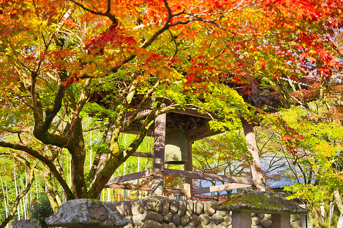 Shuzenji Temple in Autumn Shizuoka Prefecture