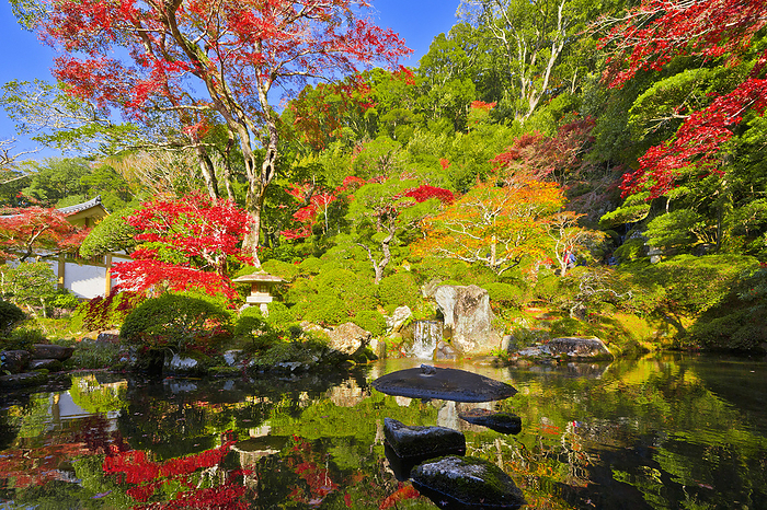 Shuzenji Garden in Autumn Shizuoka Pref.