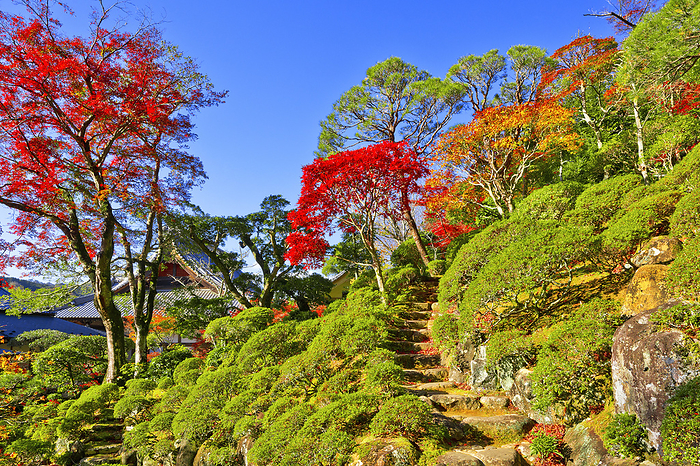 Shuzenji Garden in Autumn Shizuoka Pref.