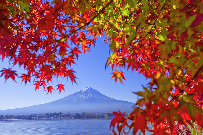 Lake Kawaguchi and Mt. Fuji in Autumn Yamanashi Prefecture