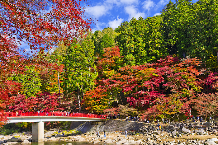 Korankei and Waitaruki Bridge in Autumn Leaves Aichi Pref.