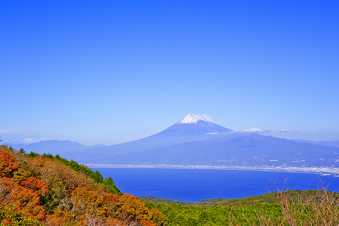 Fuji from Daruma Plateau in Autumn Shizuoka Pref.