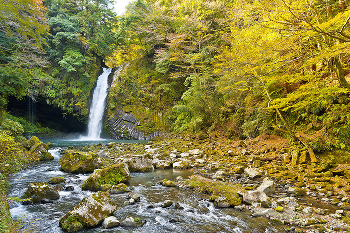 Joren no Taki Waterfall in Autumn, Izu City, Shizuoka Prefecture