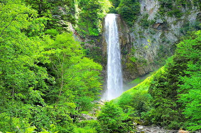 Hirayu Great Falls in summer Takayama City, Gifu Prefecture