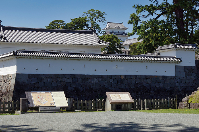 Odawara Castle Cherry blossoms Japan, Japan, Kanto, Kanagawa, Odawara, Castle, Odawara Castle, Spring,