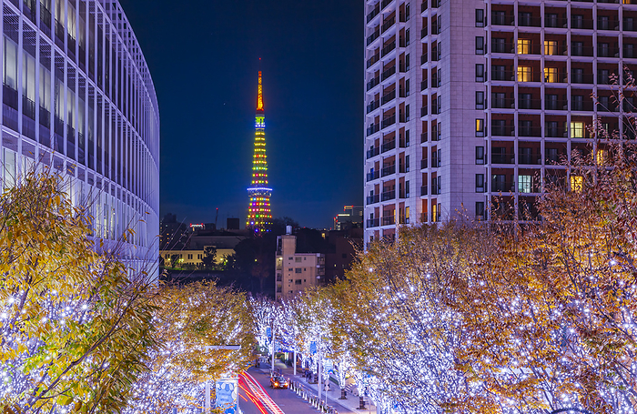 Illumination of Roppongi Keyakizaka, Tokyo Night View
