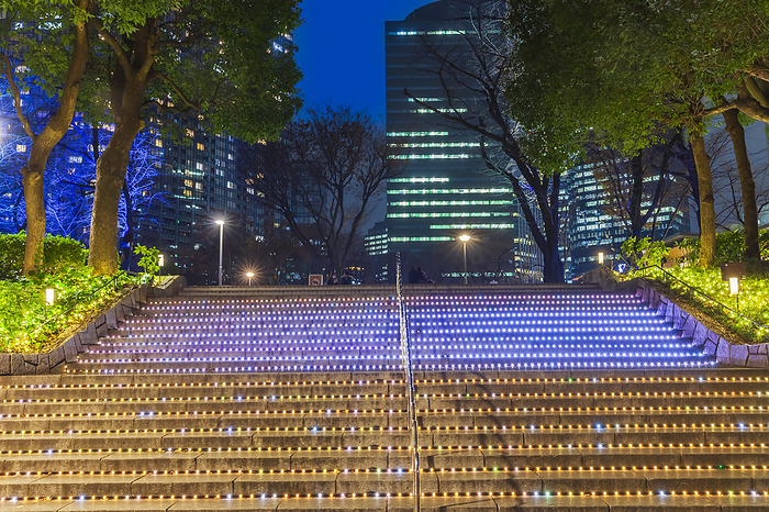 Illumination of Shinjuku Central Park, Tokyo