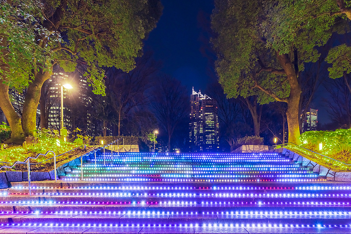 Illumination of Shinjuku Central Park, Tokyo