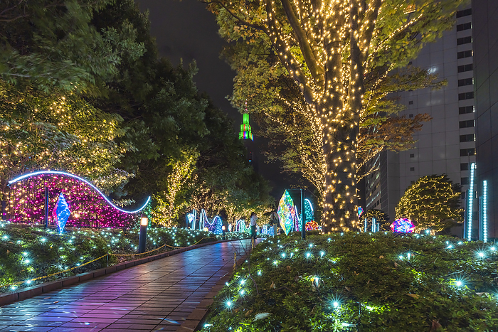 Christmas Illumination at Shinjuku Southern Terrace, Tokyo