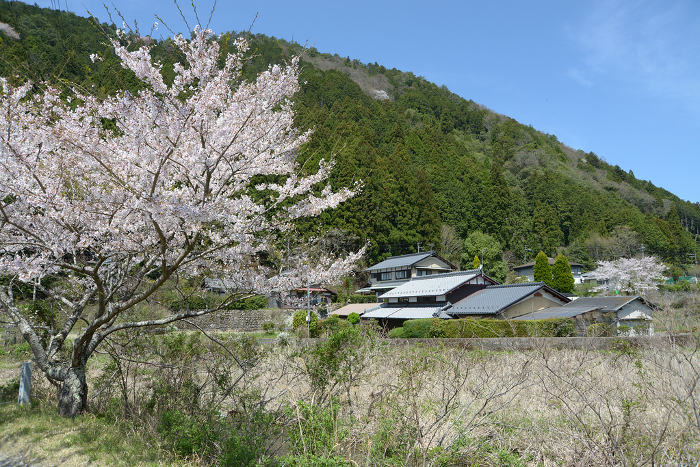 Ohara, Kyoto in springtime Serene landscape of satoyama Ohara, Sakyo-ku, Kyoto