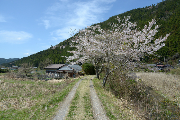 Ohara, Kyoto in springtime A peaceful rural landscape Ohara, Sakyo-ku, Kyoto