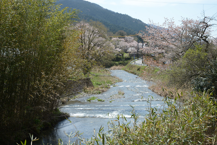 Ohara, Kyoto in spring Takano River Ohara, Sakyo-ku, Kyoto