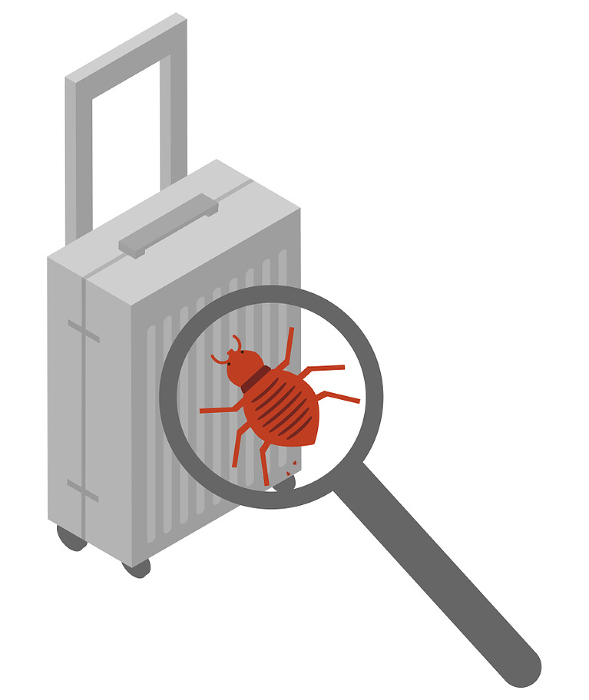 Image of bed bugs on isometric suitcase
