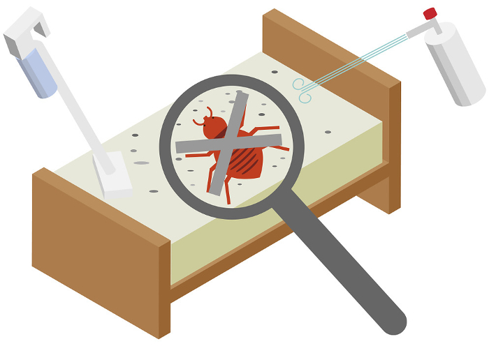 Isometric bed bug exterminating image material