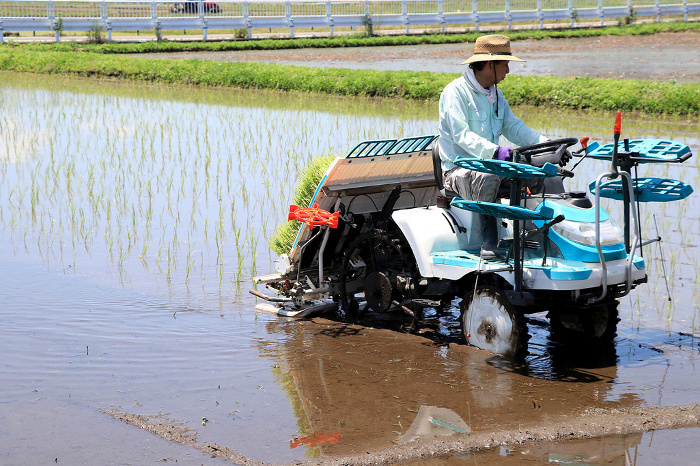 Riding a rice transplanter to plant rice in the Japanese countryside
