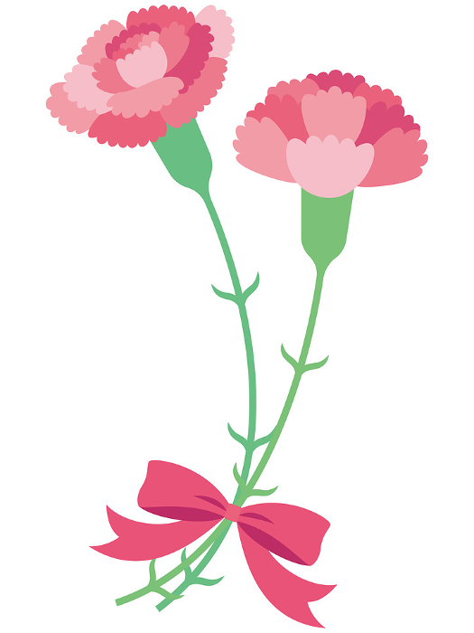 Clip art of two pretty pink carnations and ribbon