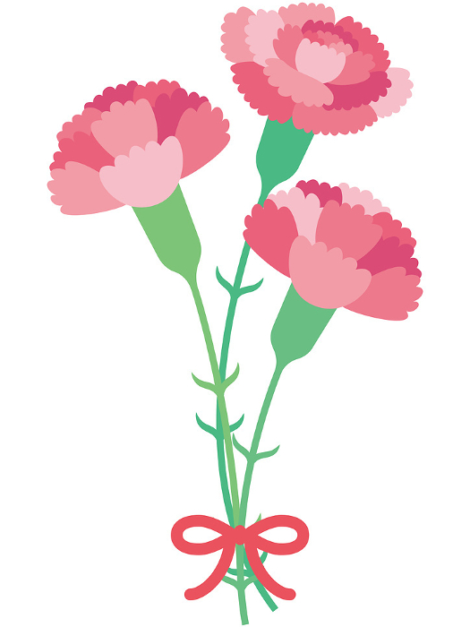 Clip art of three pretty pink carnations and ribbons