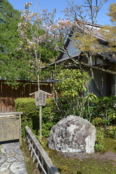 Hosenin Temple Honen Shonin Korogake no Ishi Ohara, Sakyo-ku, Kyoto