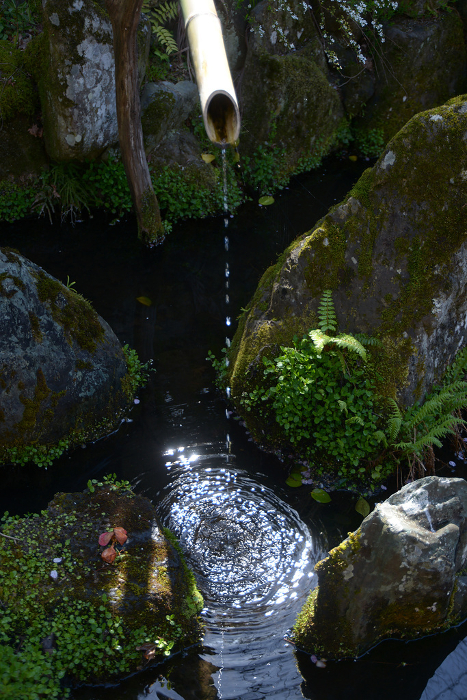 Tezui (hand-watering) place at the entrance of Hosenin Temple, Ohara, Sakyo-ku, Kyoto City