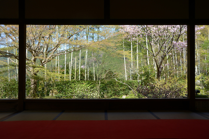 Banhwan-en seen from the shoin of Hosenin, Ohara, Sakyo-ku, Kyoto