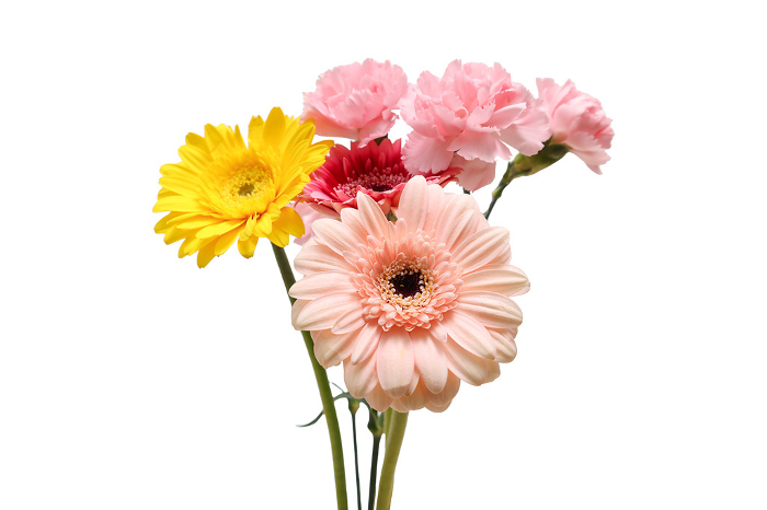 Gerbera and carnation bouquet