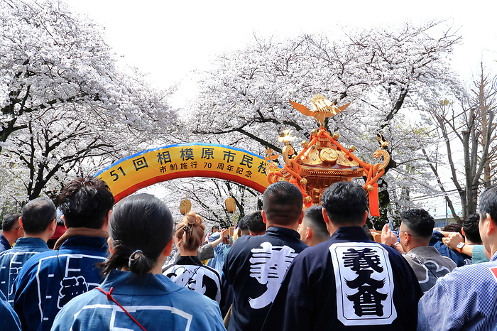 Sagamihara Citizens' Cherry Blossom Festival