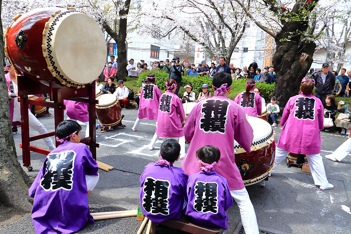 Sagamihara Citizens' Cherry Blossom Festival