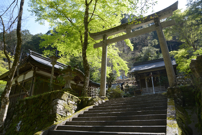 Yase Hachimangu Shrine Stone torii at the entrance to the shrine grounds Yase, Sakyo-ku, Kyoto City