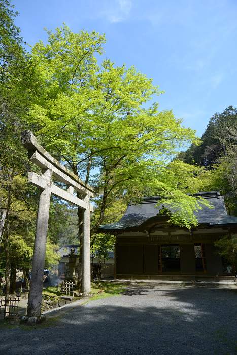 Yase Hachimangu Shrine Ishi-torii (stone gate) and Bugaku-den (dance hall) Yase, Sakyo-ku, Kyoto