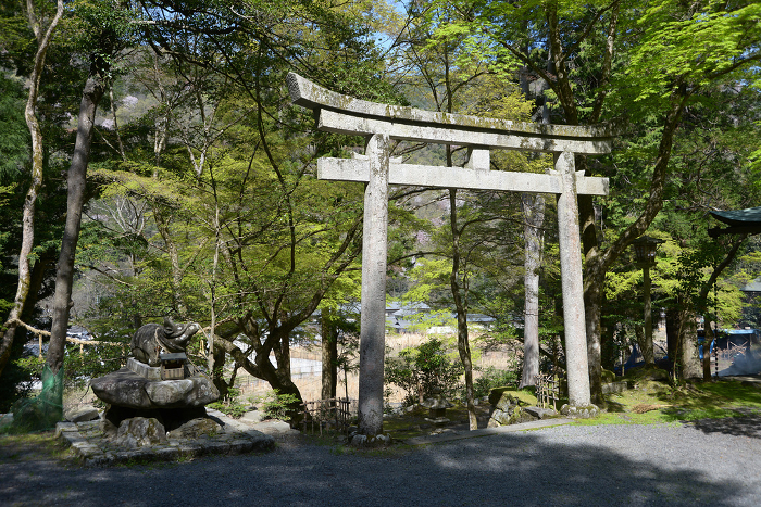Yase Hachimangu Shrine Stone torii at the entrance to the shrine grounds Yase, Sakyo-ku, Kyoto City