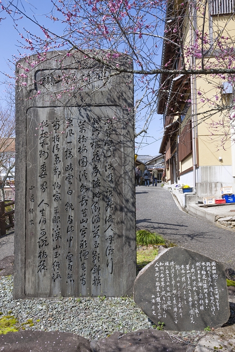 Tsukigase Plum Grove, Nara Prefecture