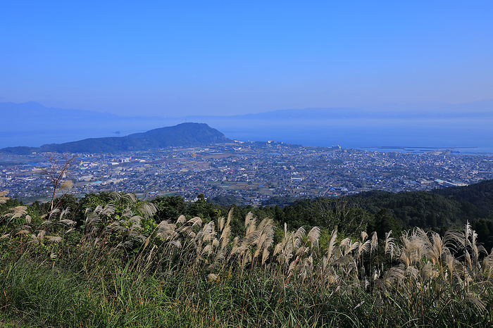 Silver Grass and Ibusuki Town