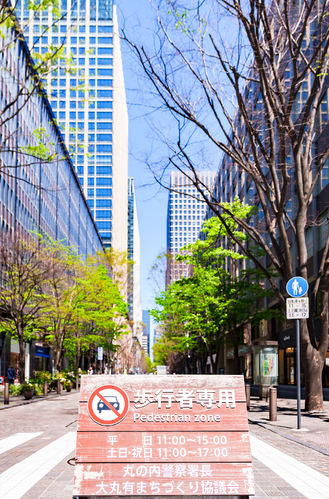 Marunouchi Naka-dori Avenue Urban Terrace is a pedestrian paradise on the main street.