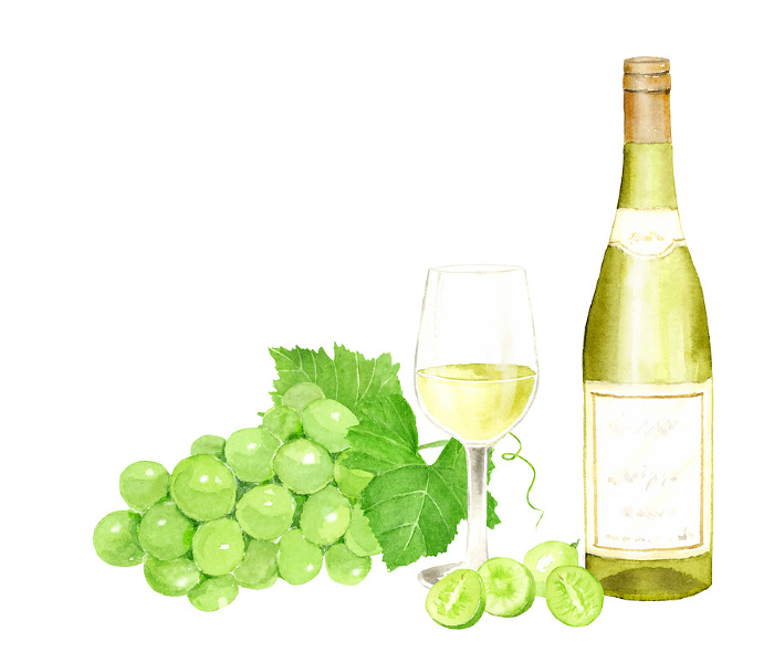 Watercolor illustration of white wine and white grapes