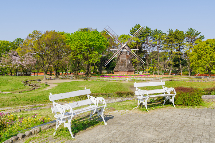 White bench and windmill in Meijo Park in spring (Kita Ward, Nagoya City)