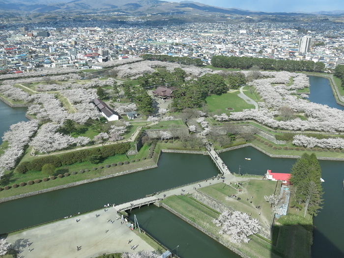 Hakodate Goryokaku in spring with beautiful cherry blossoms (view from the 2nd floor of Goryokaku Tower Observation)