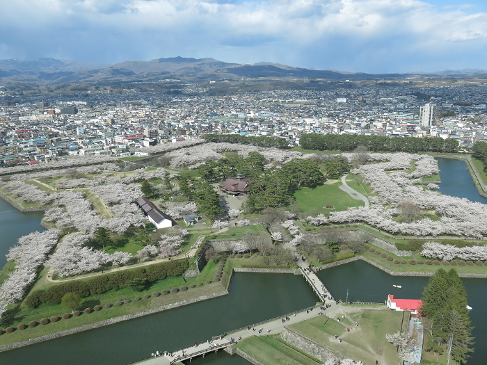 Hakodate Goryokaku in spring with beautiful cherry blossoms (view from the 2nd floor of Goryokaku Tower Observation)