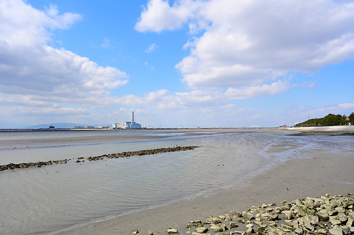 Fujimae Tideland Nagoya City Ramsar Convention listed wetlands