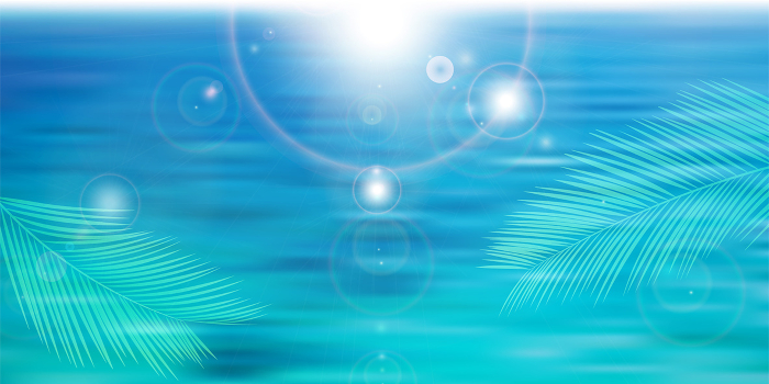 Sea Palm Summer Landscapes Background
