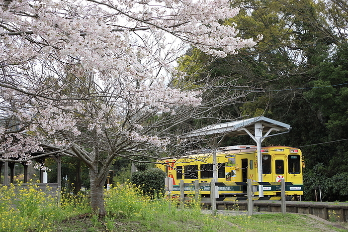 Isumi Railway Sakura Joso-Nakano Station