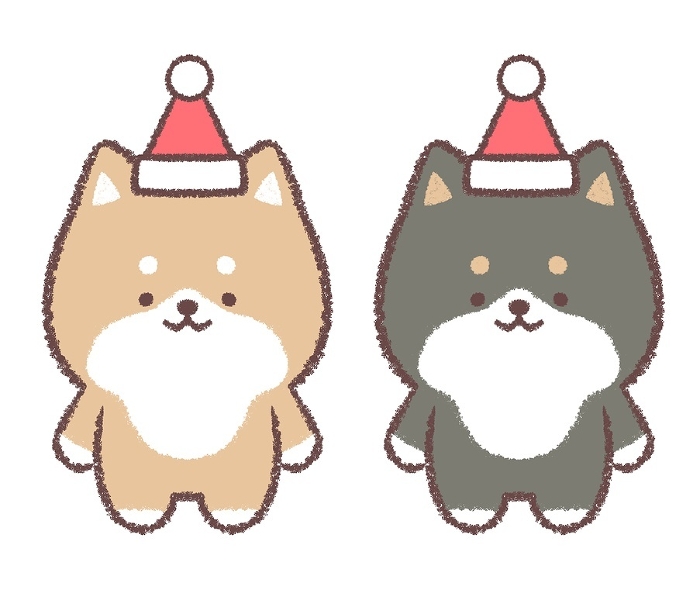 Shiba Inu and Black Shiba Inu wearing Santa hats