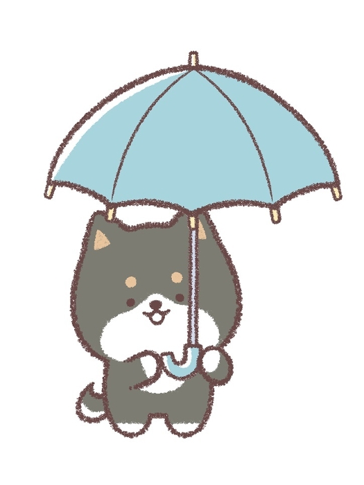 Black Shiba Inu going under an umbrella
