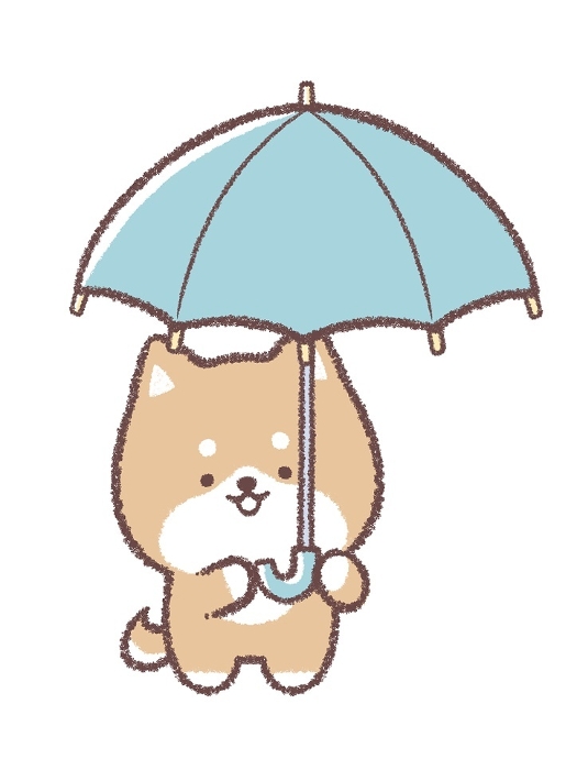 Shiba Inu getting under an umbrella