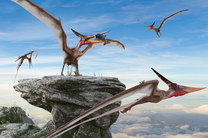 Pteranodon perching on a rock with prey added to its mouth