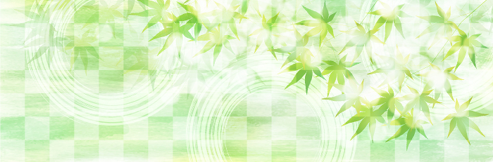 Maple leaves, fresh green, hot weather, background