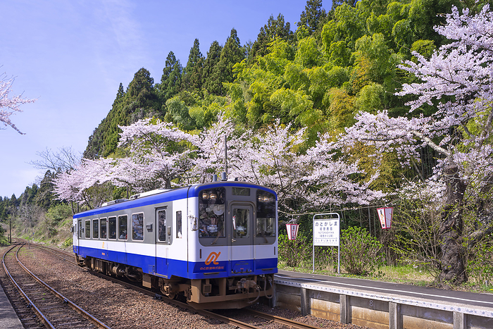 Noto Railway Noto Kashima Station  Noto Sakura Station  Anamizu Town, Ishikawa Prefecture After recovery from the 2024 Noto Peninsula Earthquake 