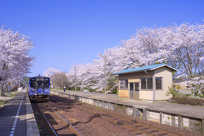 Noto Nakajima Station, Noto Railway Nanao City, Ishikawa Prefecture After the 2024 Noto Peninsula Earthquake Wrapping train for the TV animation  Hanasaku Iroha 
