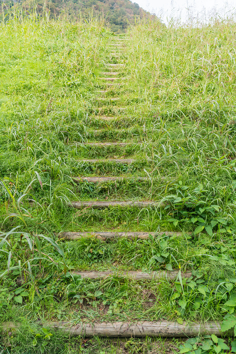 Staircase-like path covered with weeds