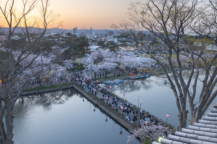 Cherry blossoms at Takada Joshi Park Joetsu City, Niigata Prefecture From the triple turret
