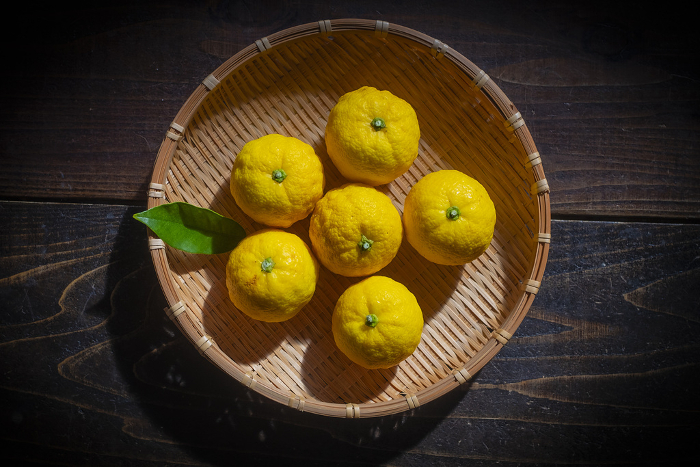 yuzu (species of aromatic Asiatic citron, Citrus junos)